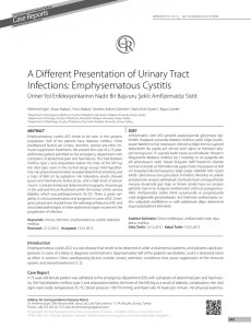 A Different Presentation of Urinary Tract Infections: Emphysematous Cystitis ts Case Repor