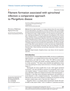 Filament formation associated with spirochetal infection: a comparative approach to Morgellons disease