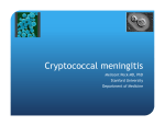 Cryptococcal meningitis Melicent Peck MD, PhD Stanford University Department of Medicine