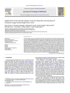 Application of the pseudo-plaque assay for detection and titration of