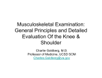 Musculoskeletal Examination: General Principles and Detailed