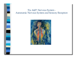 Autonomic Nervous System and Sensory Receptors