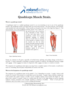 Quadriceps Muscle Strain. - Roland Jeffery Physiotherapy