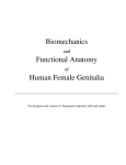 Biomechanics Functional Anatomy Human Female Genitalia