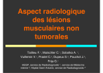 Aspect radiologique des lésions musculaires non