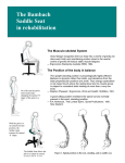 The Bambach Saddle Seat in rehabilitation