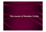 Movements of Shoulder Girdle