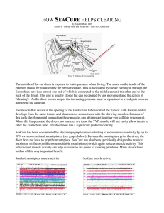 how seacure helps clearing - SeaCure Custom Mouthpiece