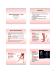 Muscle Movement, Types and Names