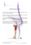 Calf muscle tears - Performance Medicine