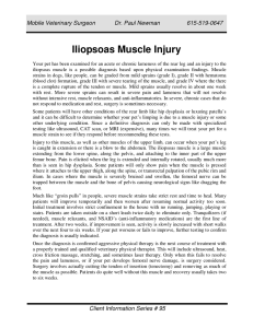 Iliopsoas Muscle Injury