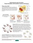 What is the TMJ? - Clarkson University