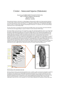 Cricket – Intercostal Injuries (Sidestrain)