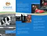 two-page brochure - Cedarview Animal Hospital