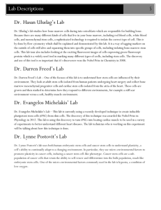 Dr. Hasan Uludag`s Lab Dr. Darren Freed`s Lab Dr. Evangelos