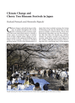 Climate Change and Cherry Tree Blossom Festivals in