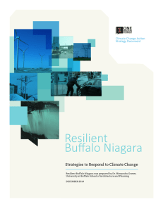 Resilient Buffalo Niagara