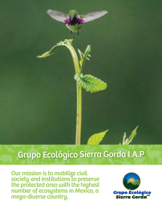 Grupo Ecológico Sierra Gorda I.A.P