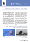 Factsheet - Effects of climate change on polar