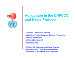 Agriculture in the UNFCCC and Kyoto Protocol