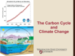 The Carbon Cycle and Climate Change