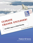 Junk Mail`s Impact on Global Warming