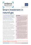 Smart investment in natural gas - Economic and Social Research