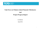 Liu Ruixia - TCFD Overview and Project Progress Report