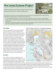 Oro Loma Ecotone Project - Alameda County Flood Control and
