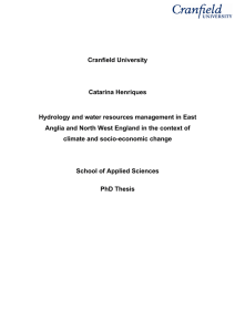Catarina Henriques PhD thesis