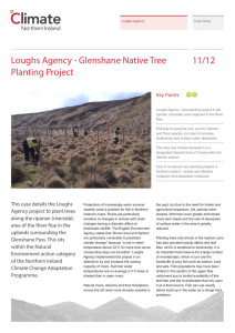 Loughs Agency - Glenshane Native Tree