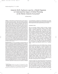 Antarctic Krill, Euphausia superba, a Model Organism - ePIC