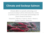 Climate and Sockeye Salmon