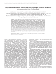 Early Ordovician rifting of Avalonia and birth of the Rheic Ocean: U