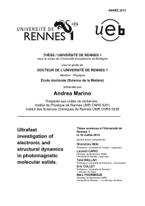 Andrea Marino - Université de Rennes 1