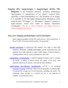 Imaging (ES: imagenología o imaginología (RAE), FR: Just