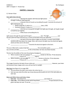 CHAPTER 6 Human Eye Notes FIB