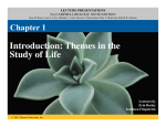 Chapter 1 Powerpoint SCC