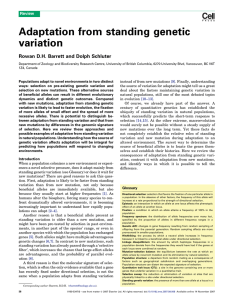 Adaptation from standing genetic variation