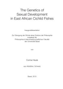 The Genetics of Sexual Development in East African Cichlid