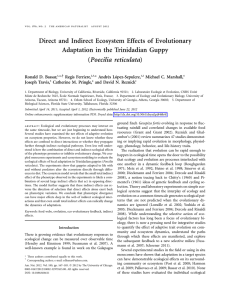 Direct and Indirect Ecosystem Effects of Evolutionary