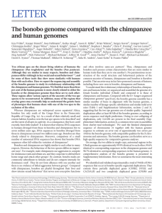 The bonobo genome compared with the chimpanzee and human