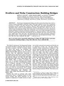 EvoDevo and niche construction: building bridges
