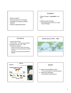 Evolution Darwin