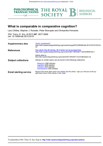 What is comparable in comparative cognition?