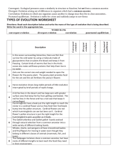 TYPES OF EVOLUTION WORKSHEET