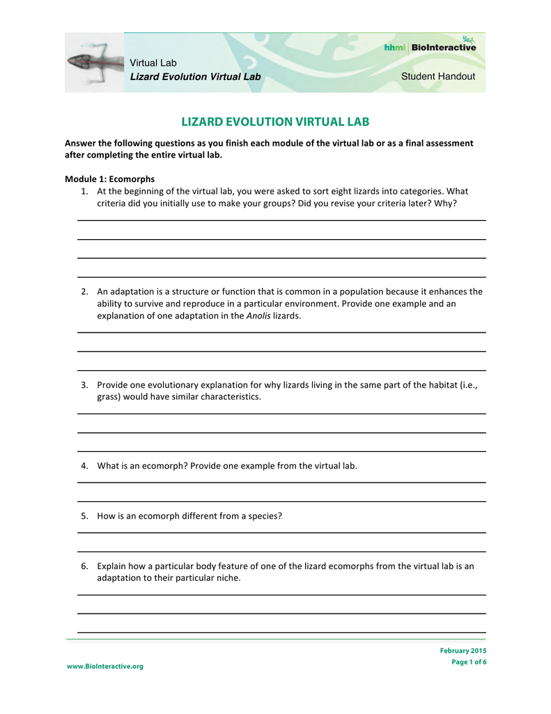 Lizard Evolution Virtual Lab Worksheet Answers Worksheet List