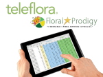Floral Prodigy - MyTeleflora.com