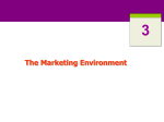 3 The Marketing Environment