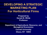 DEVELOPING A STRATEGIC MARKETING PLAN For Horticultural Firms